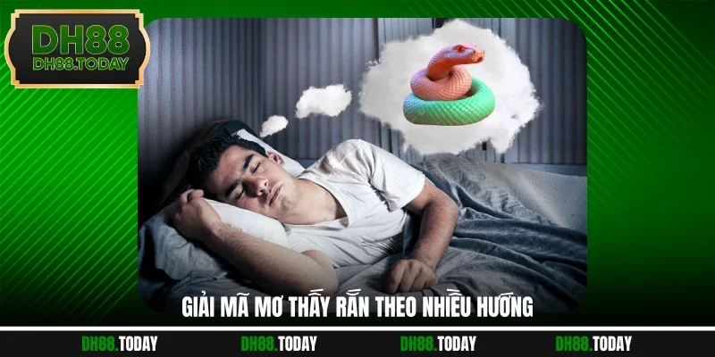 Giải mã mơ thấy rắn theo nhiều hướng