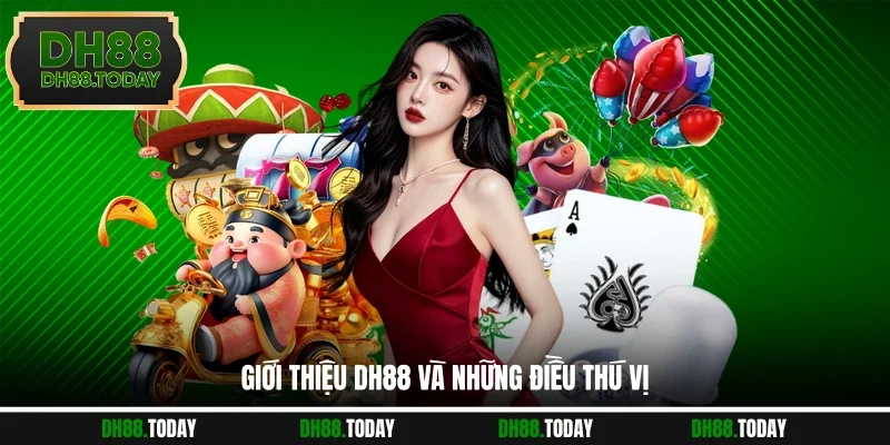 Giới thiệu DH88 và những điều thú vị