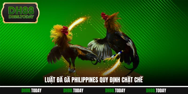 Luật đá gà Philippines quy định chặt chẽ