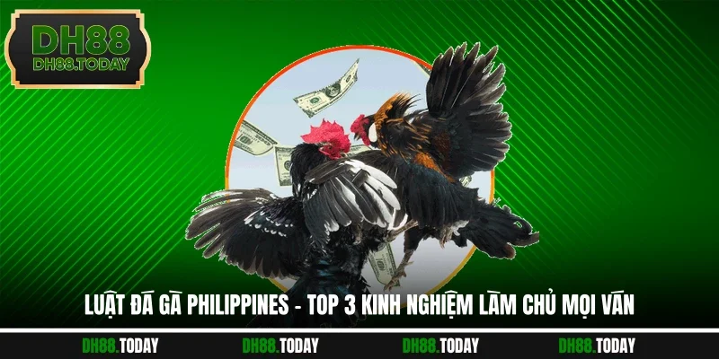 Luật Đá Gà Philippines